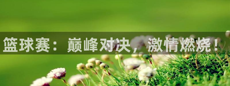 篮球赛：巅峰对决，激情燃烧！